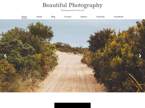 Beautiful Photography website template