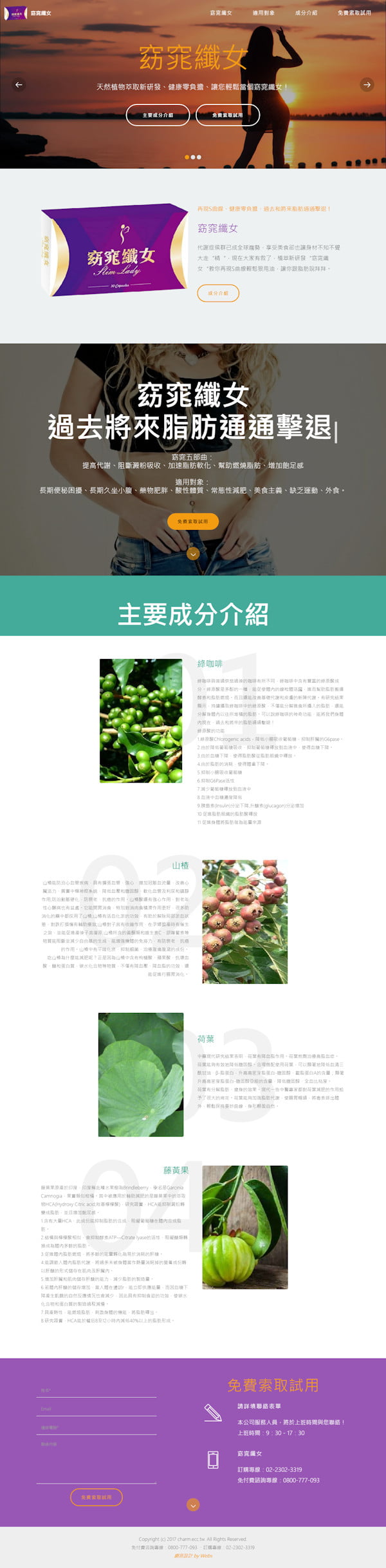 網頁設計-窈窕纖女2