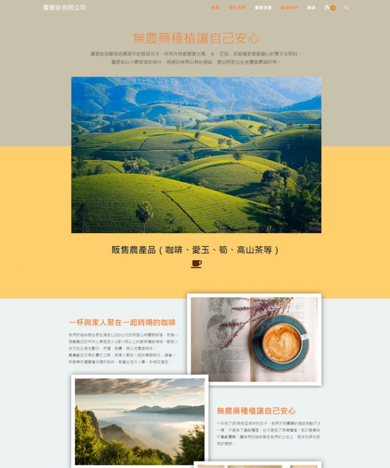 網頁設計-lupii